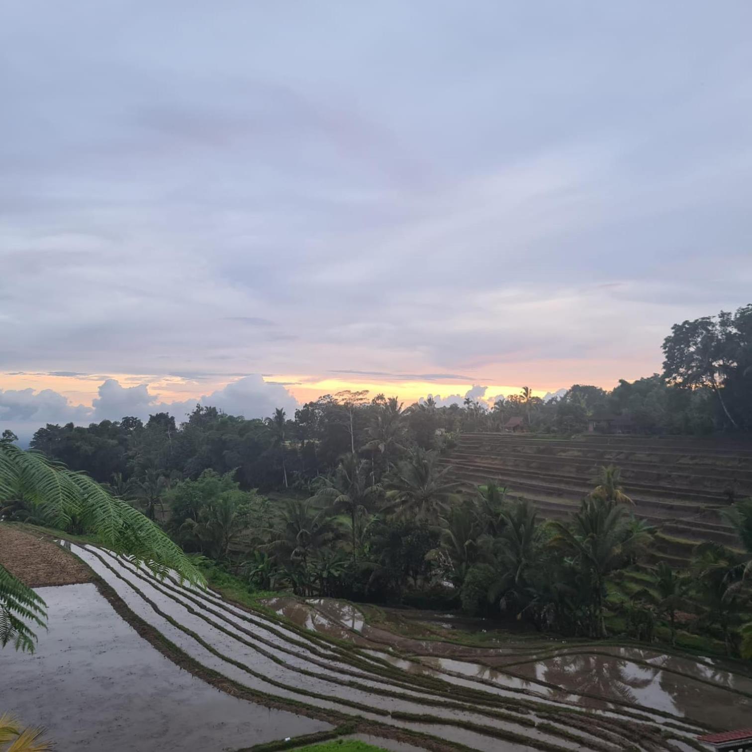 D'Ume Bendoel Homestay 자띠루위 외부 사진