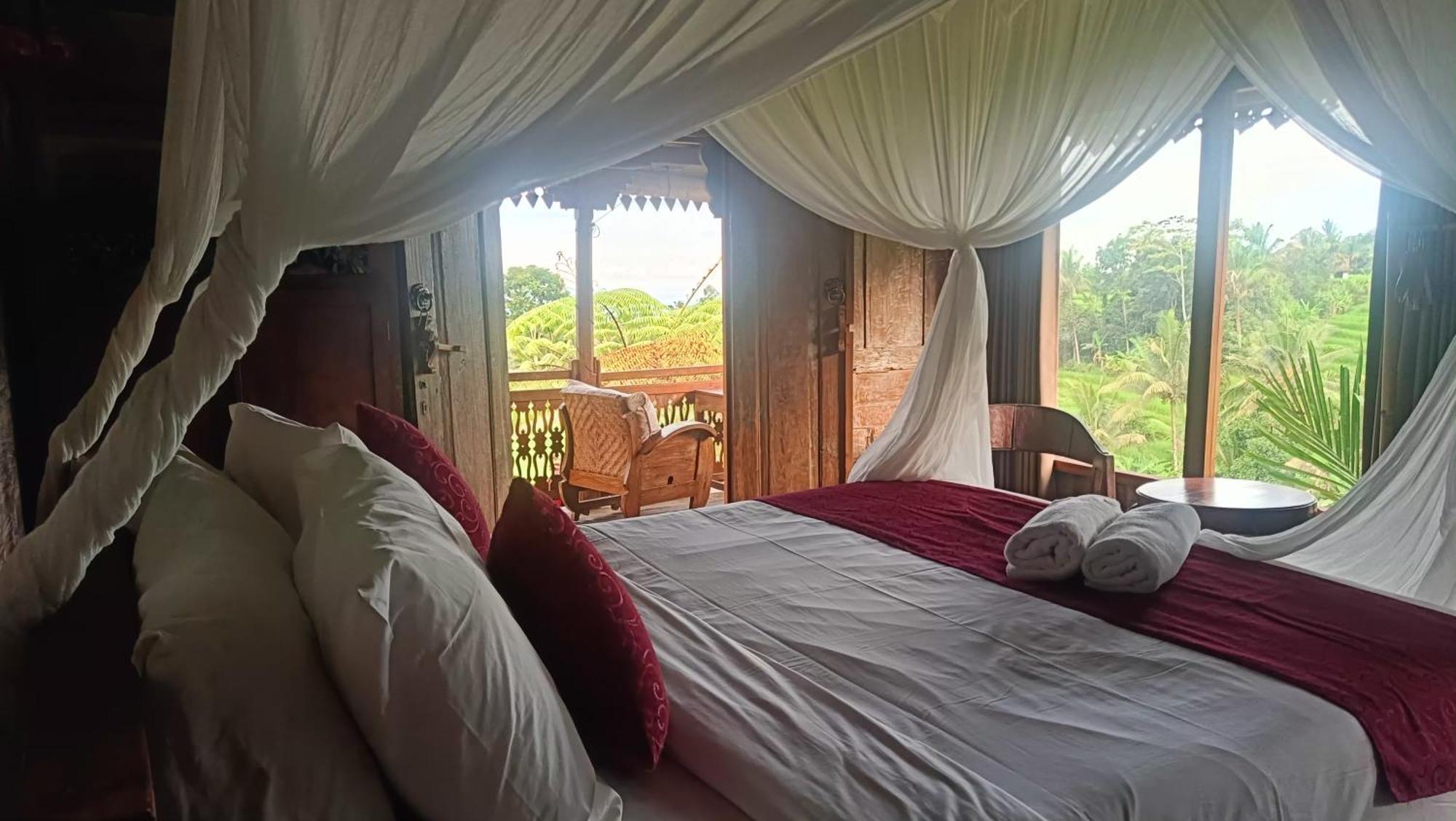 D'Ume Bendoel Homestay 자띠루위 객실 사진